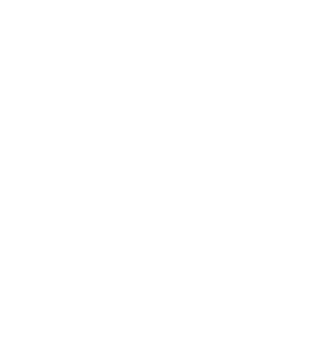 Rep-r